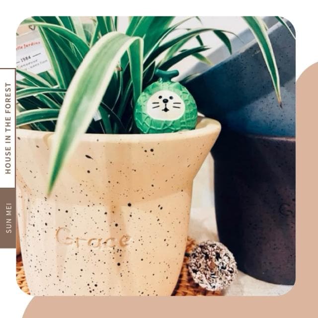 水泥盆 混色波點水泥盆 觀葉植物 多肉植物 塊根 仙人掌  盆器 花器  植栽 辦公室植栽