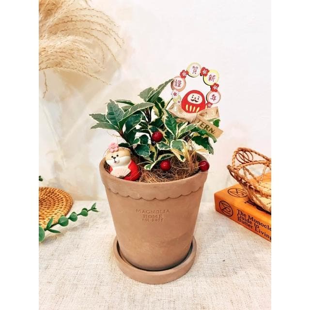 水泥盆 羅馬造型盆 盆器 花器 花瓶 器皿 觀葉 植物 植栽 過年花禮 蘭花 居家裝飾 植物 盆栽