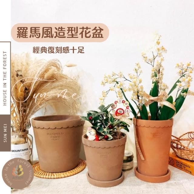 水泥盆 羅馬造型盆 盆器 花器 花瓶 器皿 觀葉 植物 植栽 過年花禮 蘭花 居家裝飾 植物 盆栽