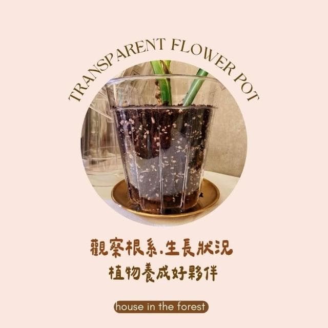 透氣盆 硬式植物控根盆  透氣盆 盆栽 換盆神器  穩根花盆  透明/茶色PVC