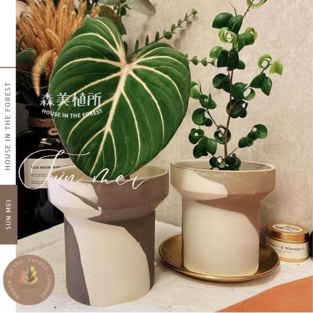 陶盆 韓系INS混色陶盆 觀葉盆 陶燒盆 觀葉植物 辦公室盆栽