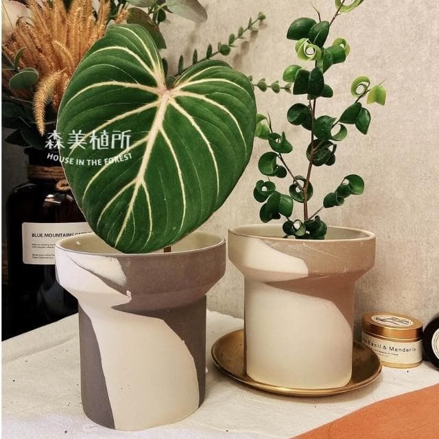 陶盆 韓系INS混色陶盆 觀葉盆 陶燒盆 觀葉植物 辦公室盆栽