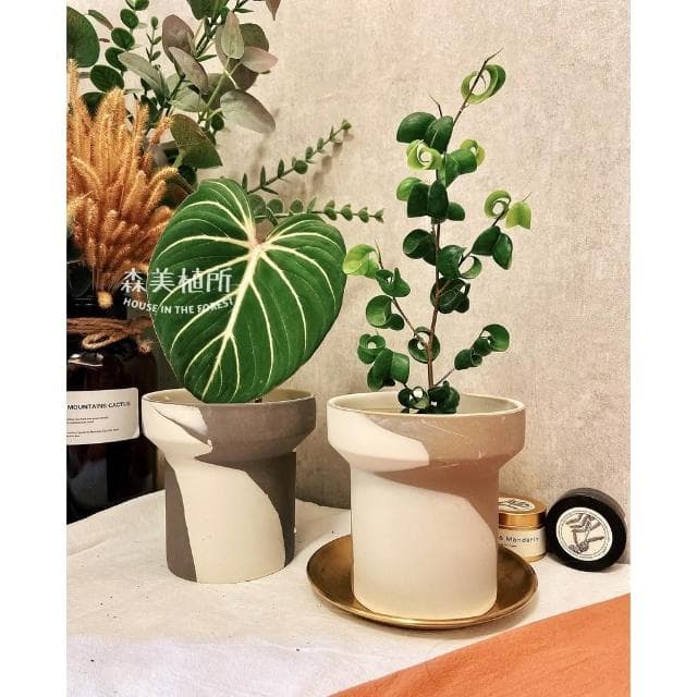 陶盆 韓系INS混色陶盆 觀葉盆 陶燒盆 觀葉植物 辦公室盆栽