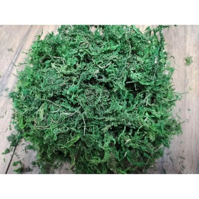 《大欣園藝》_綠水苔300公克(綠水苔 綠水草 蘭花 苔球植物 盆栽鋪面 綠水草 蘭花園藝裝飾草 多肉 組盆裝飾 青苔)