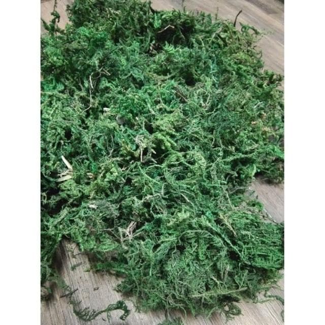 《大欣園藝》_綠水苔300公克(綠水苔 綠水草 蘭花 苔球植物 盆栽鋪面 綠水草 蘭花園藝裝飾草 多肉 組盆裝飾 青苔)