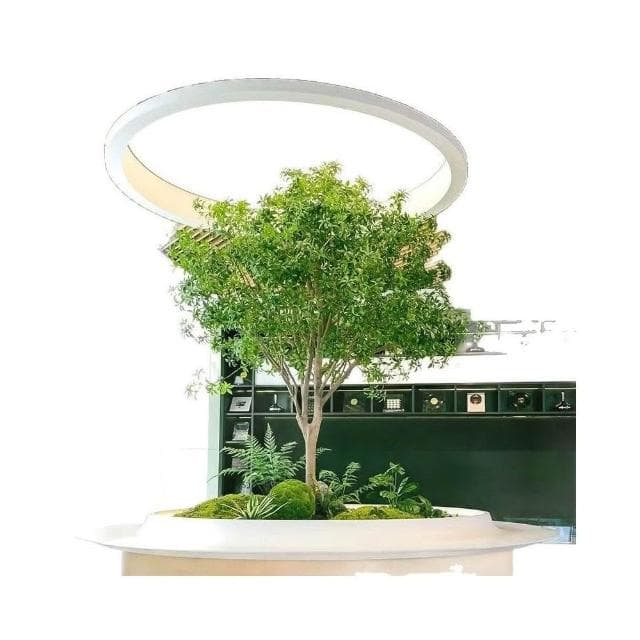 🌿🎈高端馬醉木 仿真植物 櫥窗造景 室內裝飾樹 仿生綠植 大型假樹 簡約景觀
