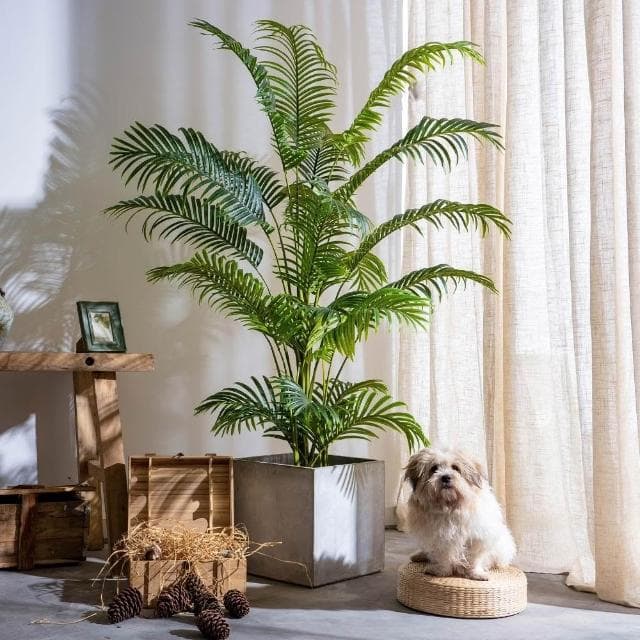 暖巢 預購+部分現貨 仿生散尾葵 仿真綠植 仿生假樹 鳳尾竹 假植物 室內熱帶造景裝飾 客廳沙發邊大型落地假綠植