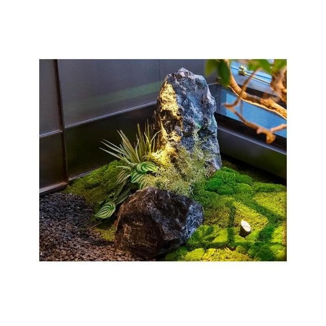 精品馬醉木 綠植造景 櫥窗植物 室內真榕樹 裝飾樹 大型假樹 簡約景觀