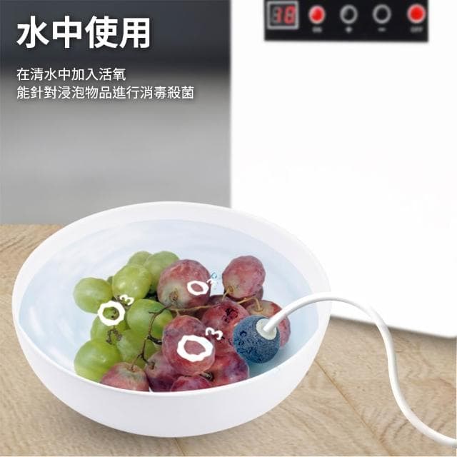 蔬果活氧清洗機 蔬果消毒臭氧機 消毒活氧機 淨化農藥殘留 肉類清洗機 果蔬碗盤清洗機 空氣淨化器 690-LRZ128
