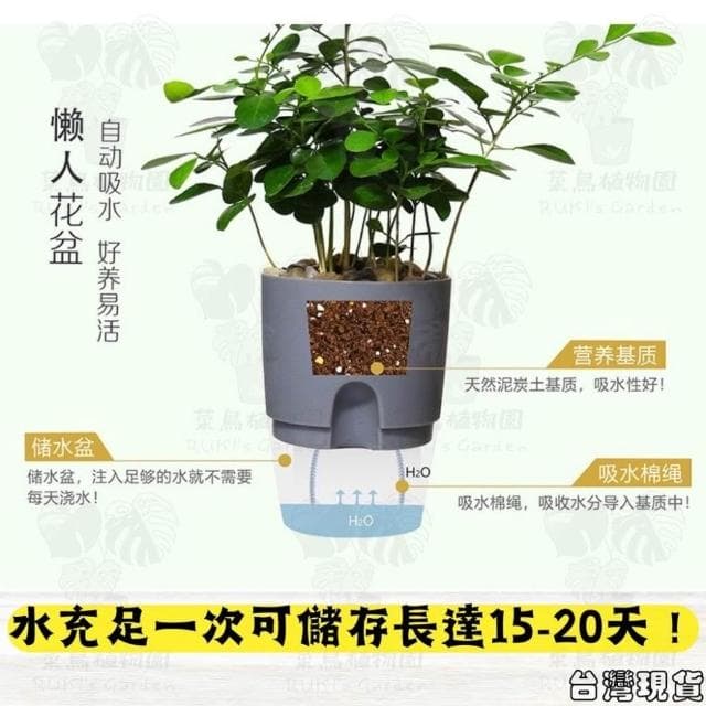 沐晨植物園｜懶人花盆 懶人盆栽 吸水花盆 自吸水花盆  免澆水花盆 懶人花盆 吸水盆栽 室內花盆 自吸水花盆