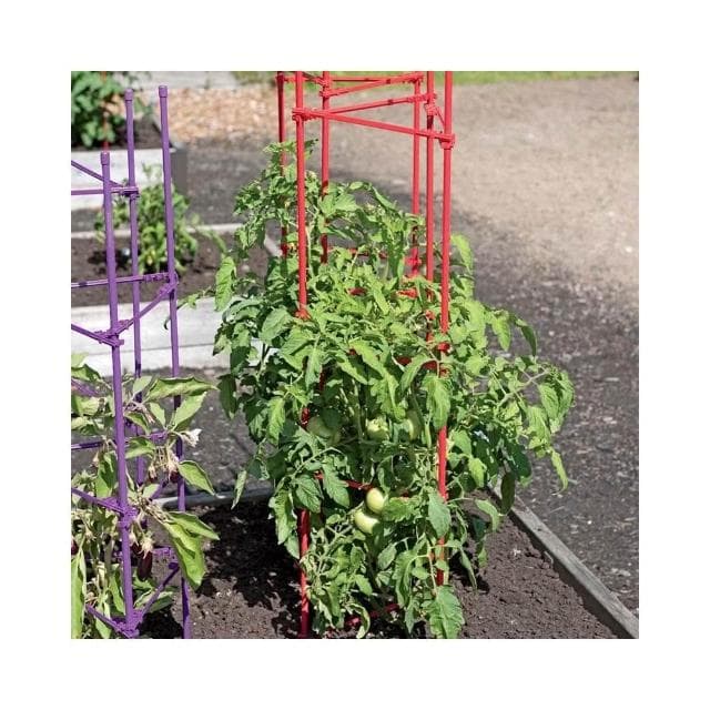 番茄架子 爬藤架 蔬菜架 杆种菜支撑盆栽庭院固定西红柿黄瓜种菜支架 陽臺蕃茄固定植物支撐架 黃瓜攀爬架子 花盆支架