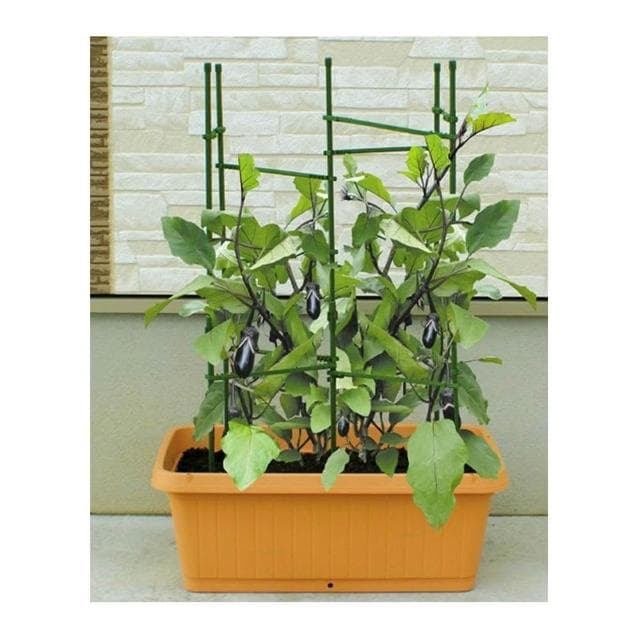 番茄架子 爬藤架 蔬菜架 杆种菜支撑盆栽庭院固定西红柿黄瓜种菜支架 陽臺蕃茄固定植物支撐架 黃瓜攀爬架子 花盆支架