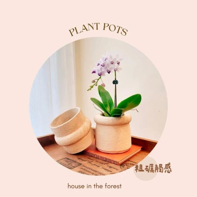 陶盆 岩礦感陶盆 花盆 花器 陶藝品 植栽布置 觀葉植物 多肉植物 虎尾蘭 植物擺設