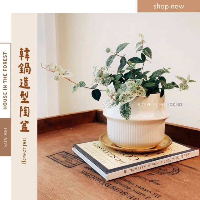 陶盆 韓鍋造型陶盆 花盆 花器 盆器 器皿 陶盆 多肉植物 觀葉植物 居家布置 辦公室植栽 植物