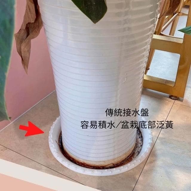 Mushi 現貨🎉熱銷 [移動接水盤] 水泥盆/花盆托盤/接水盤/盆栽/倒水移動都很方便/沐時嚴選