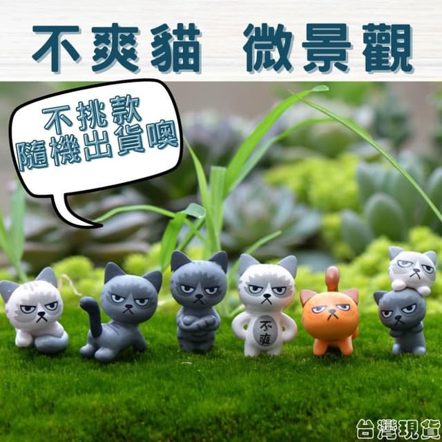 沐晨植物園｜不爽貓 貓咪 臭臉貓 微景觀裝飾 多肉裝飾 生態瓶配件 盆栽裝飾 微景觀配件 公仔 迷你園藝 多肉擺件飾