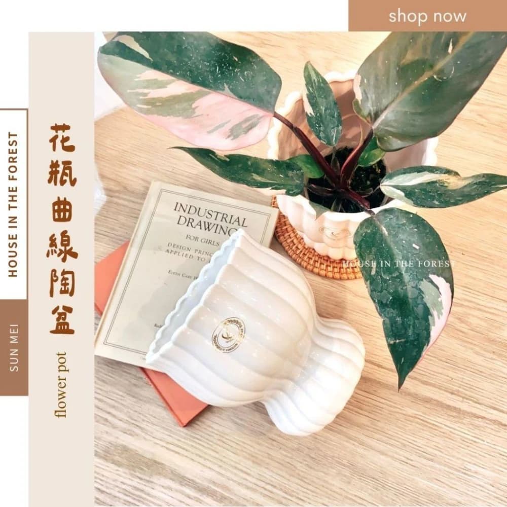 陶盆 花瓶曲線陶盆 花盆 花器 陶藝品 植栽布置 觀葉植物