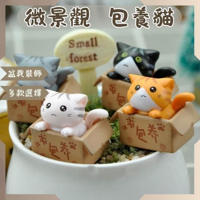 沐晨植物園｜微景觀 求包養貓 萌貓 園藝裝飾 療育公仔 貓造型 DIY造景 擺件 多肉裝飾 紙箱貓 貓咪公仔 盆栽裝飾