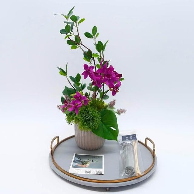 【HUGO DECO 榆果傢飾】雅緻桃紅蝴蝶蘭榕枝香氛花禮(擬真植物/人造盆栽/綠化/佈置/禮物)