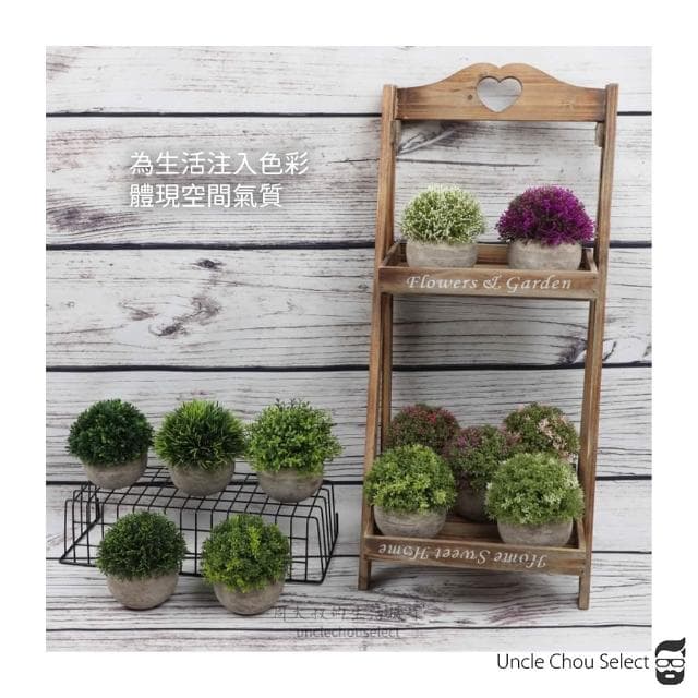 [周大叔 台灣現貨] 仿真植物 桌上盆栽 小盆栽 假植物 辦公室盆栽 人造植物 假盆栽