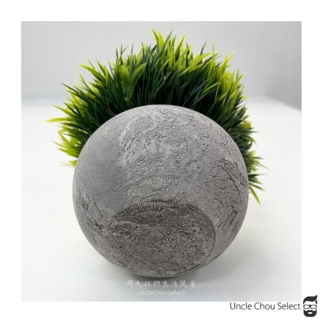 [周大叔 台灣現貨] 仿真植物 桌上盆栽 小盆栽 假植物 辦公室盆栽 人造植物 假盆栽