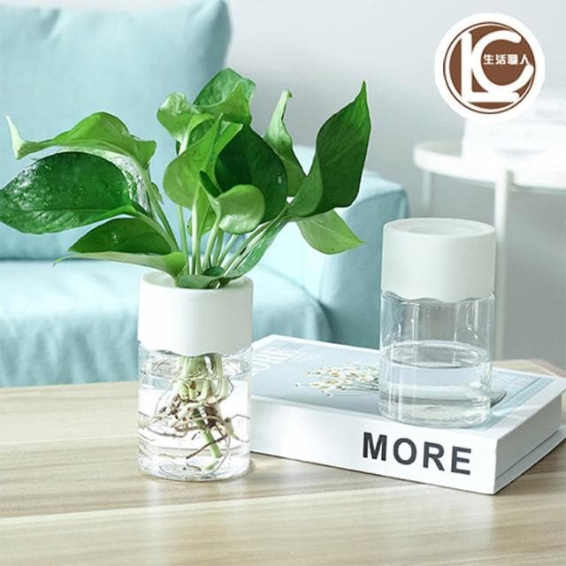 【生活職人】水耕盆栽 觀葉植物 水耕瓶 水耕花器 懶人 日系水耕盆栽 花瓶 無土種植 水耕植物 塑膠盆