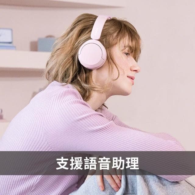 【SONY 索尼】SONY WH-CH520 無線藍牙耳罩式耳機 6色 可選