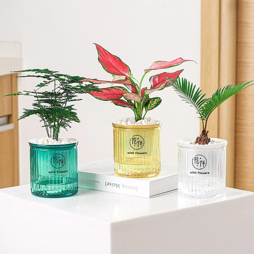 【生活職人】懶人盆栽 花盆 盆栽 塑膠盆 仿玻璃 自動吸水花盆 自動吸水 水培花盆 水培花盆 水耕植物