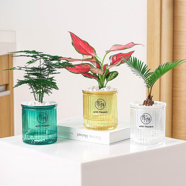 【生活職人】懶人盆栽 花盆 盆栽 塑膠盆 仿玻璃 自動吸水花盆 自動吸水 水培花盆 水培花盆 水耕植物