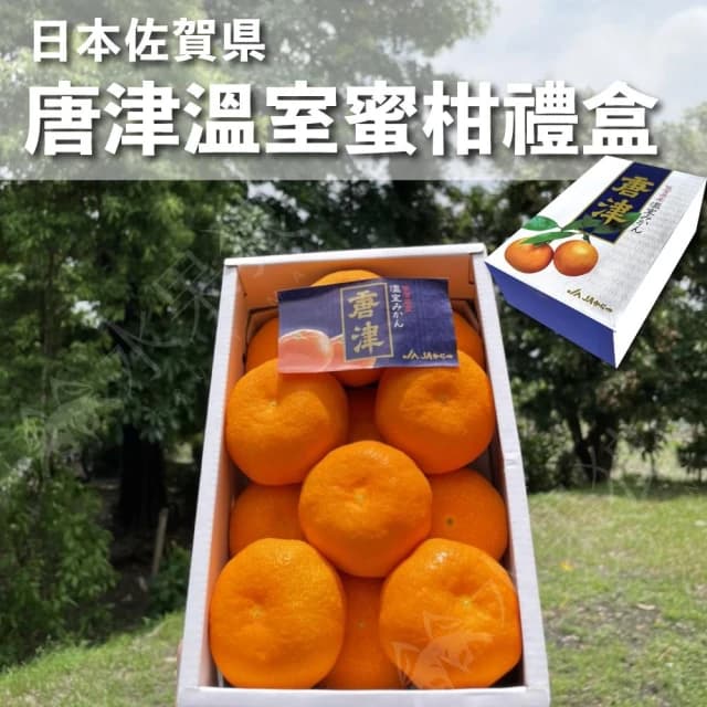 【水果狼】日本佐賀縣唐津蜜柑禮盒 原裝12-15玉 中秋送禮 水果禮盒 1kg±10%