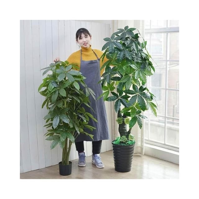 大型假花仿真髮財樹室內裝飾植物客廳落地假盆栽花樹綠植塑料盆景