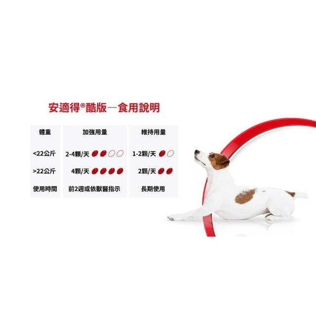 Antinol 安適得 原廠公司貨 酷版 防偽雷射標籤有保障 關節保養 犬貓用 60顆/盒 天然關節營養品