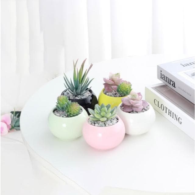 沐晨植物園｜圓球多肉陶盆 多肉盆 陶瓷花盆 多肉盆栽 花盆 圓形陶盆
