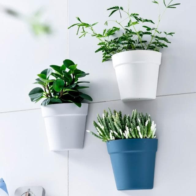 〈拜雅齊BYC〉壁掛式塑料盆栽花器(植物花盆 墻壁陽臺室內牆上盆景 半圓形小花盆 )
