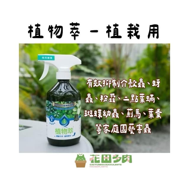 《花田多肉》🌵【植物萃-植栽專用】  抑制紅蜘蛛 介殼蟲/觀葉植物/室內植物