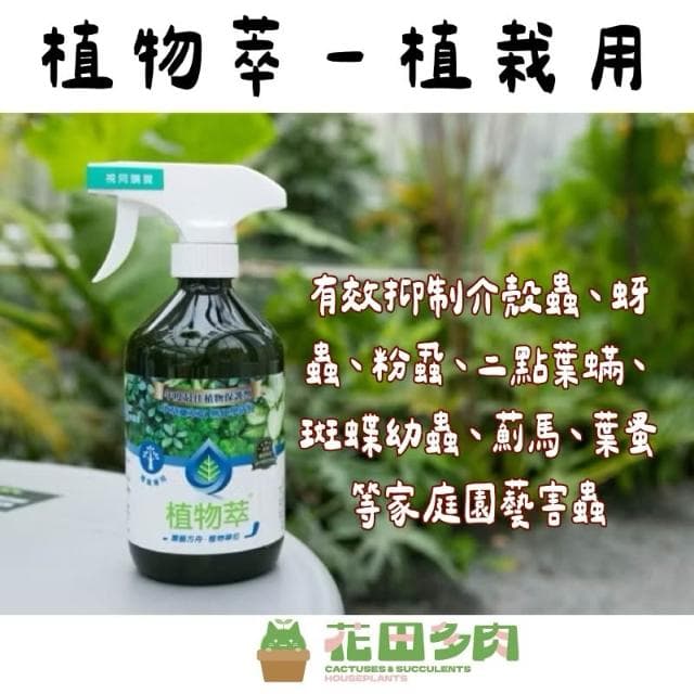 《花田多肉》🌵【植物萃-植栽專用】  抑制紅蜘蛛 介殼蟲/觀葉植物/室內植物