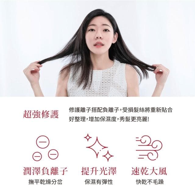 【TESCOM】日本 TESCOM 大風量負離子吹風機 TID2200TW TID2200 