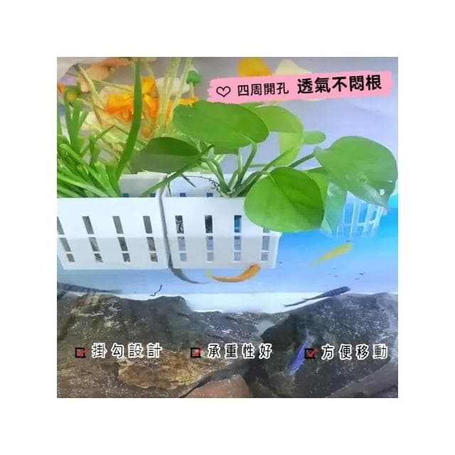 水培定植籃 定植杯 水草籃 固定籃 水培盆 水培籃 水耕盆栽 水耕植物盆 魚菜共生 無土栽培 水耕栽培盆 培育魚苗 掛盆