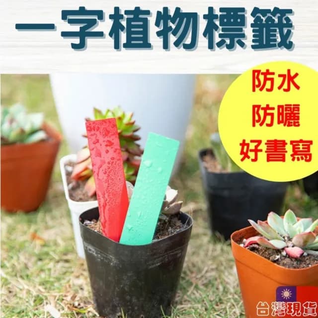 沐晨植物園｜一字標籤 植物吊牌 植物標籤 多肉標示 植物名牌 防水 標籤 植物插牌 花卉標籤 盆栽標籤 多肉標籤