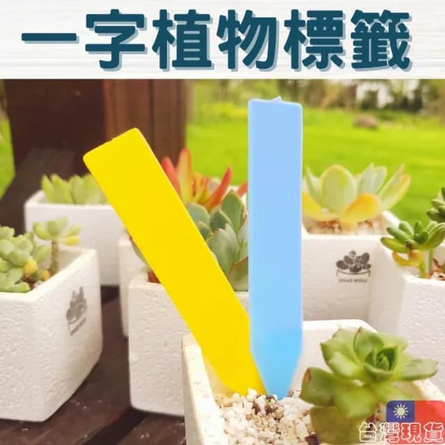 沐晨植物園｜一字標籤 植物吊牌 植物標籤 多肉標示 植物名牌 防水 標籤 植物插牌 花卉標籤 盆栽標籤 多肉標籤