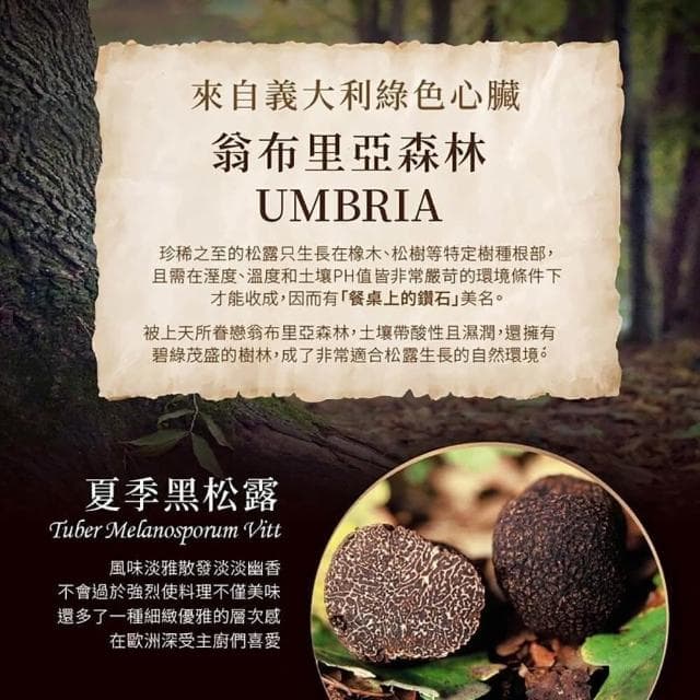 A.R 艾儞皇 頂級黑松露蘑菇醬90g-3入組 (松露含量15%;松露醬/Tartufo/菌菇醬)