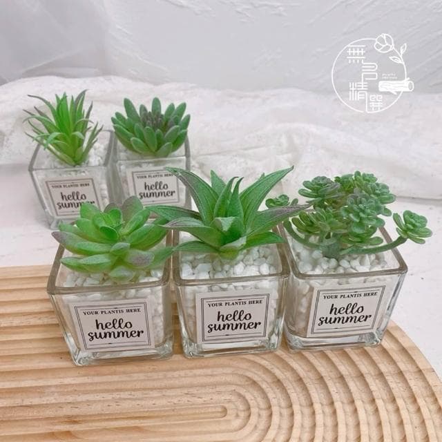 仿真多肉玻璃盆 多肉擺件 小盆栽 仿真盆栽 拍照道具 桌面盆栽 假植物 仿真植物 仙人掌 多肉 迷你盆栽