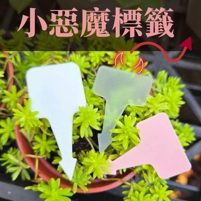 【欣榮園藝資材行】小惡魔標籤 箭頭造型標籤 箭頭花牌 PP材質標籤 花牌 植物標籤 名牌 標示 園藝 花盆 盆栽