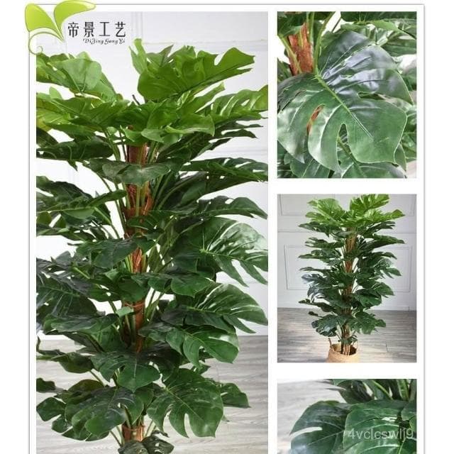 北歐ins滴水觀音仿真龜背竹盆景小散尾擺件盆栽裝飾落地植物樹客