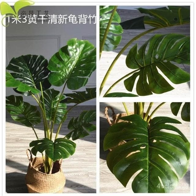北歐ins滴水觀音仿真龜背竹盆景小散尾擺件盆栽裝飾落地植物樹客