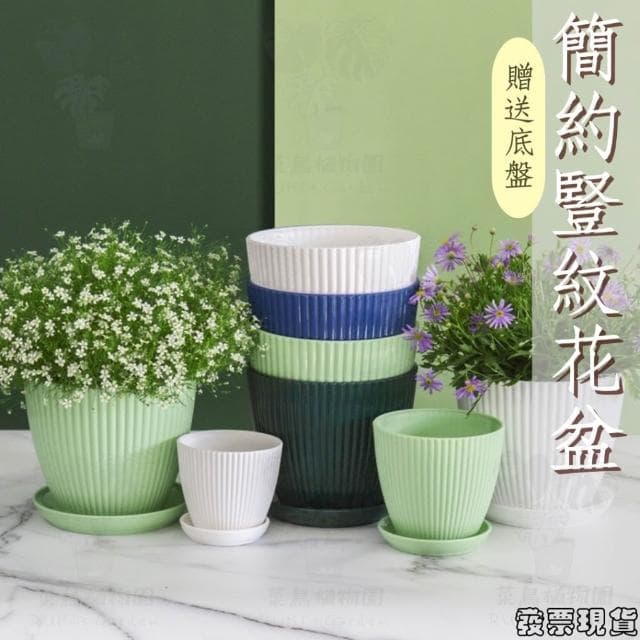 沐晨植物園｜花盆 塑膠花盆 白色花盆 盆栽 塑膠盆 盆栽容器 圓形花盆 北歐花盆花器 盆器 透氣花盆 控根盆