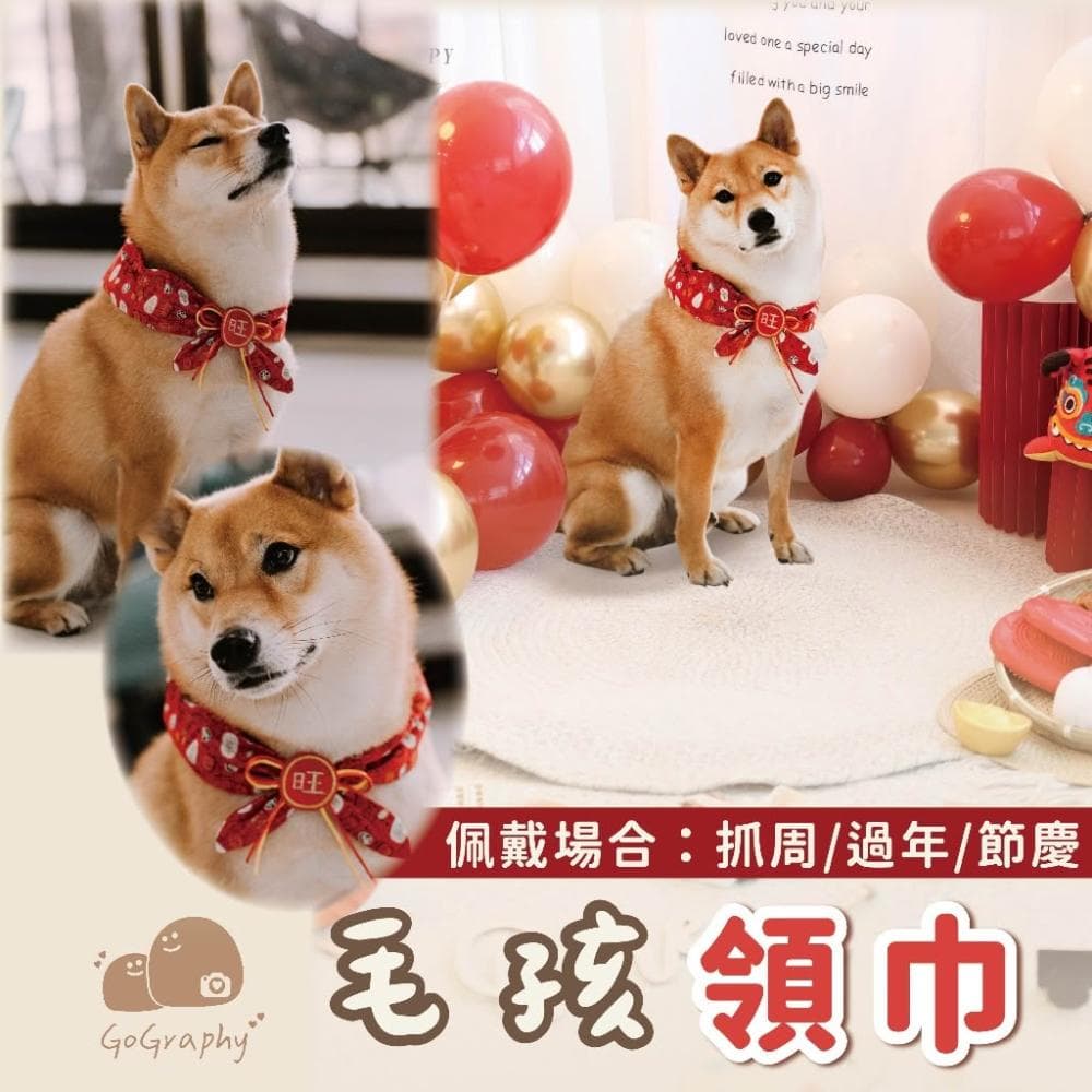 現貨｜寵物 狗狗 貓貓 毛孩 領巾 可愛 新年 過年 生日 抓周 婚禮 節慶 喜氣 喜慶 裝飾 ｜GoGraphy