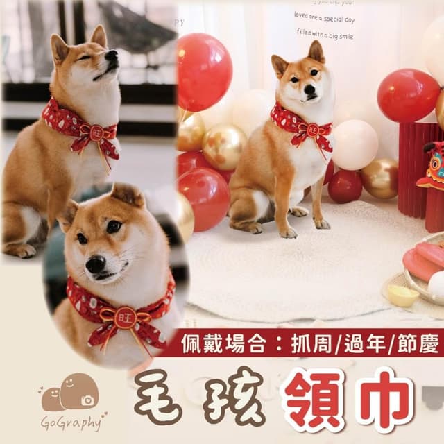 現貨｜寵物 狗狗 貓貓 毛孩 領巾 可愛 新年 過年 生日 抓周 婚禮 節慶 喜氣 喜慶 裝飾 ｜GoGraphy