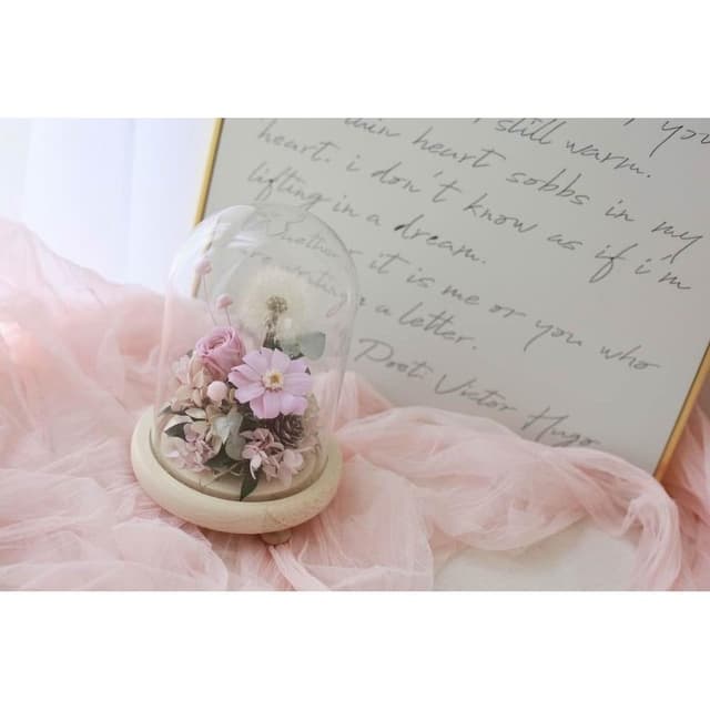 蒲公英玻璃罩(生日禮、情人節禮物、夢幻桌飾)