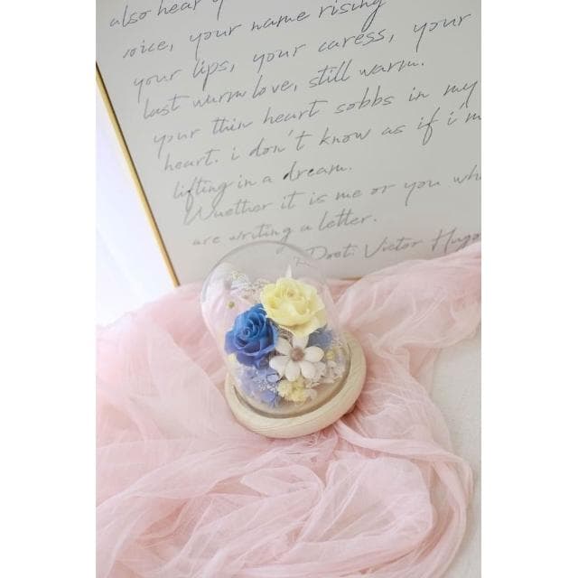 永生花玻璃罩(生日禮、情人節禮物、居家擺飾)